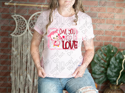 02-480 Owl You Need Is Love Tee