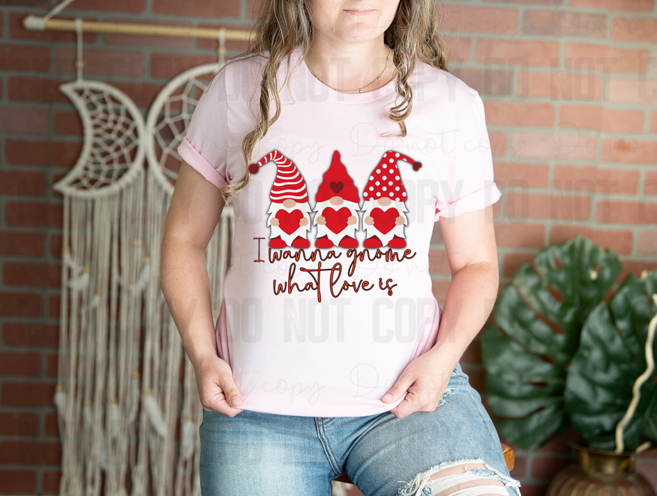 02-69 I wanna gnome What Love Is tee