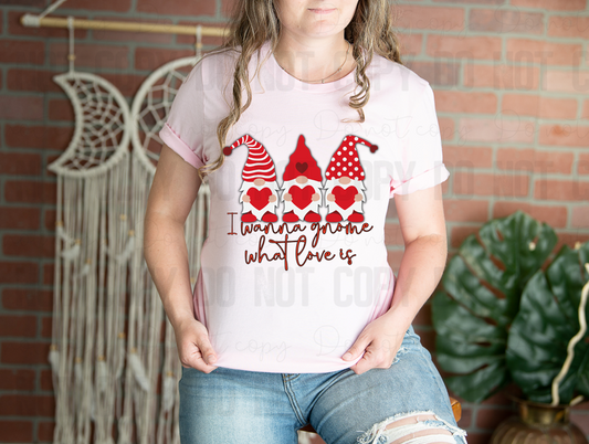 02-69 I wanna gnome What Love Is tee
