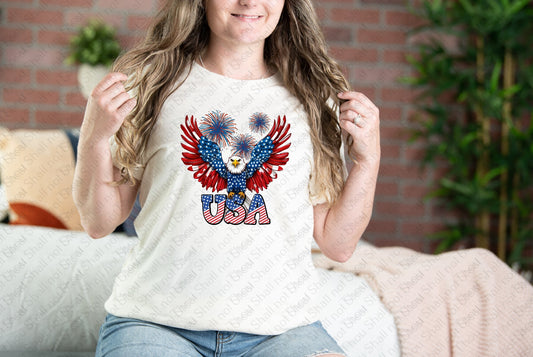 07-266 Eagle, Fireworks, USA tee