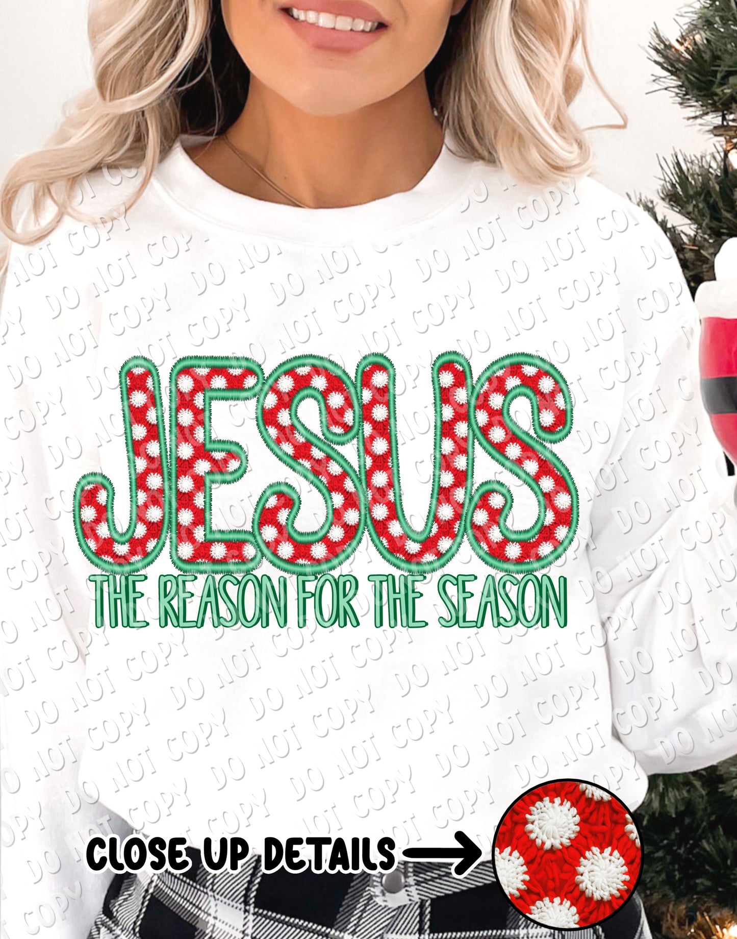 12-268 Jesus the reason for the season Tee