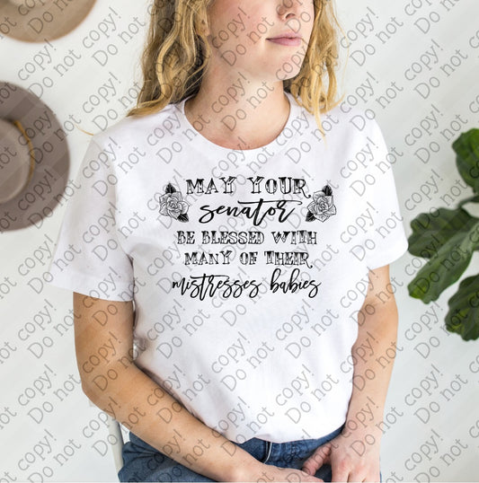 14-27 May Your Senator Be Blessed with Many of their Mistresses Babies - Black tee
