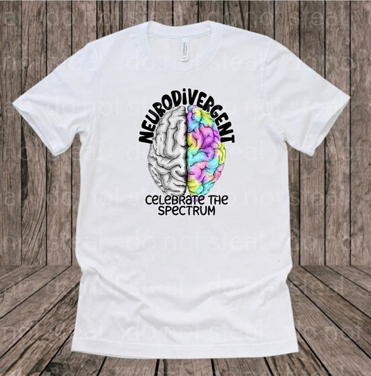 26-118C Neurodivergent Celebrate the Spectrum Completed Tee