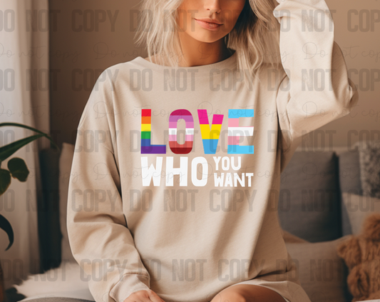 58-152 Love Who You Want Completed Tee