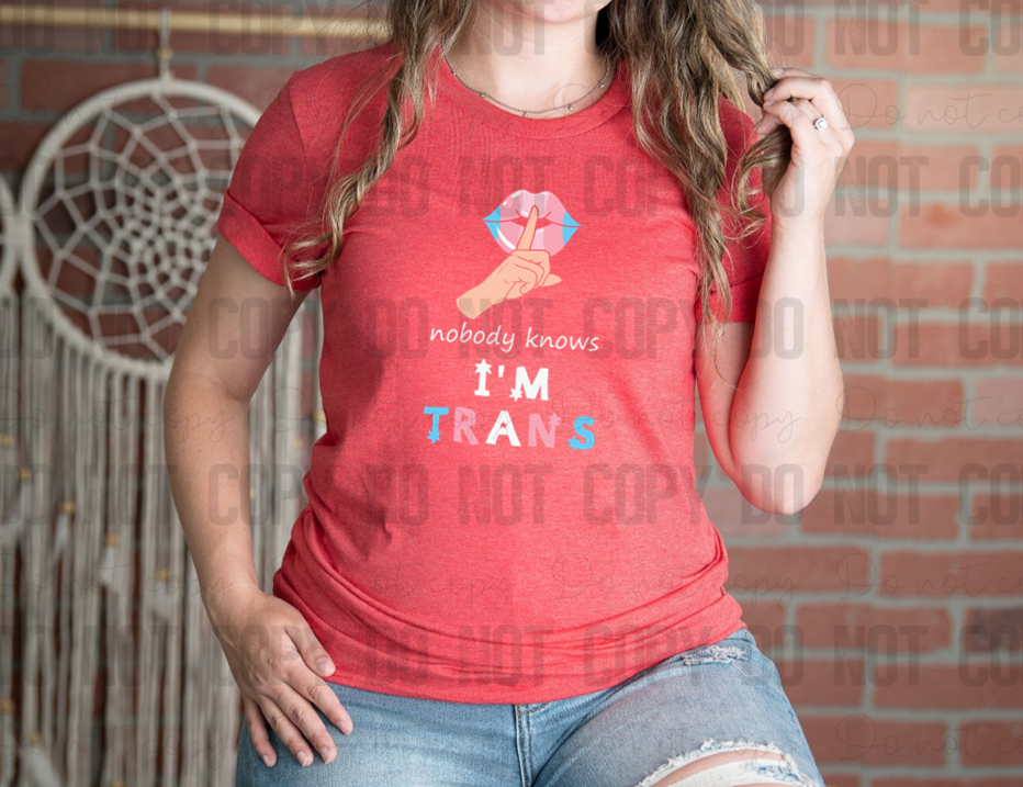 58-166 Nobody Knows I'm Trans Transgender Completed Tee