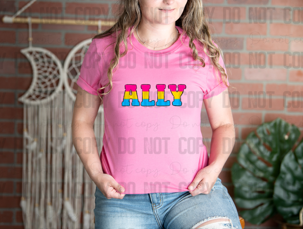 58-172 Pansexual Ally Completed Tee