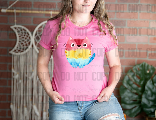 58-173 Pansexual Cat Completed Tee