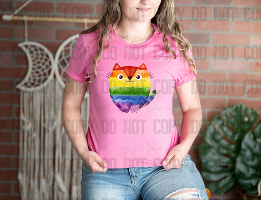 58-225 Rainbow Cat Completed Tee