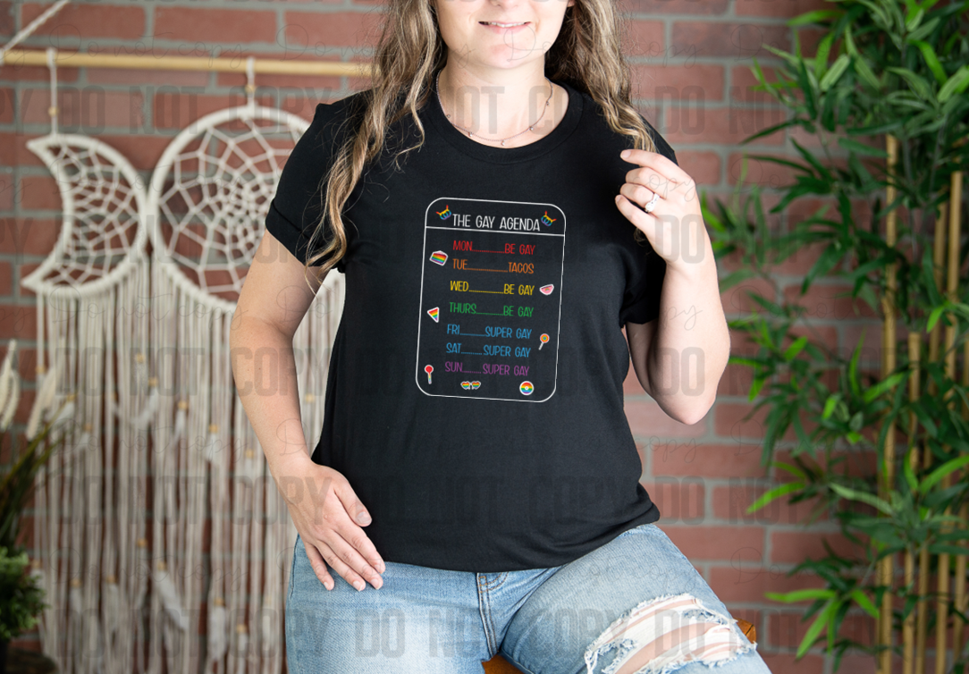 58-252 The Gay Agenda Completed Tee