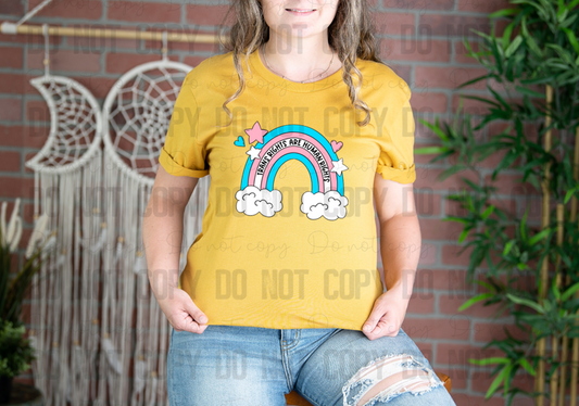 58-265 Trans Rights Are Human Rights Completed Tee