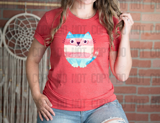 58-268 Transgender Cat Completed Tee