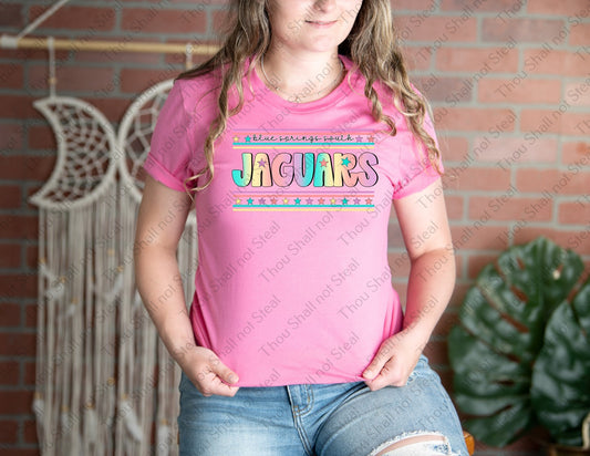 58-27 Blue Springs South Jaguars - Pastel Stars tee