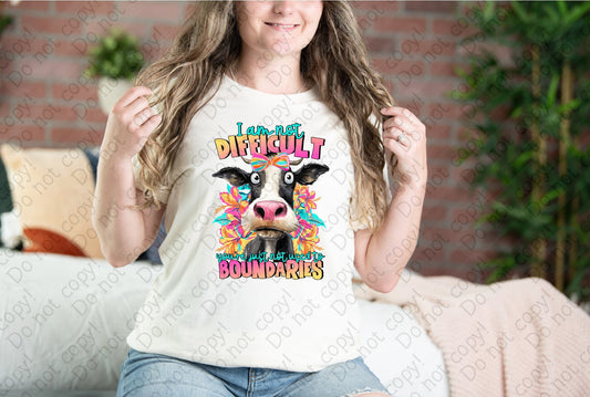 L-238 I_m not Difficult You_re Just Not Used To Boundaries tee