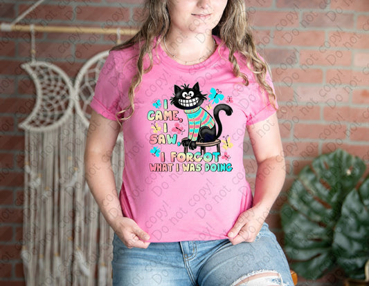 L-247 I Came, I Saw, I forgot what I was Doing tee