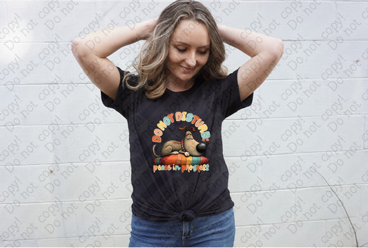 L-308 Do not disturb_ peace in progress tee