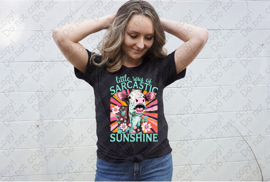 L-315 Little ray of sarcastic sunshine tee