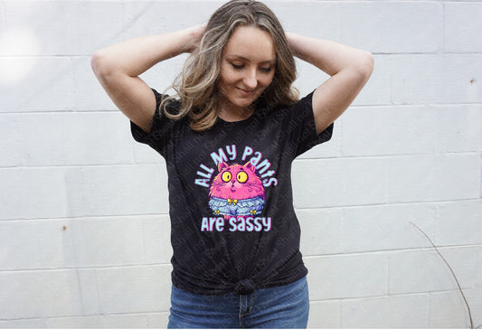 L-323 All My Pants Are Sassy tee