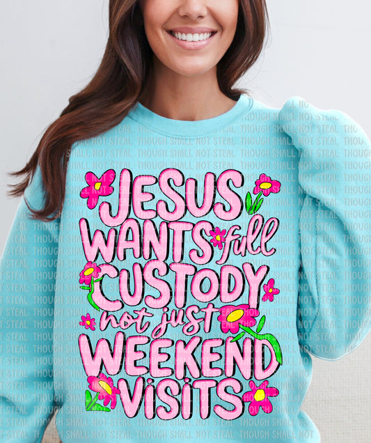 O-66 Jesus Wants Full Custody tee